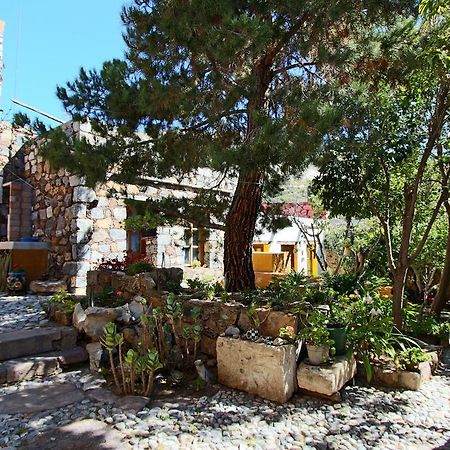 Апартаменти Casa Curtos Catorce Номер фото